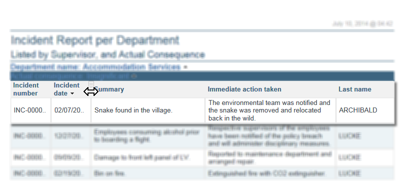 Interactive report example - change column width as consumer